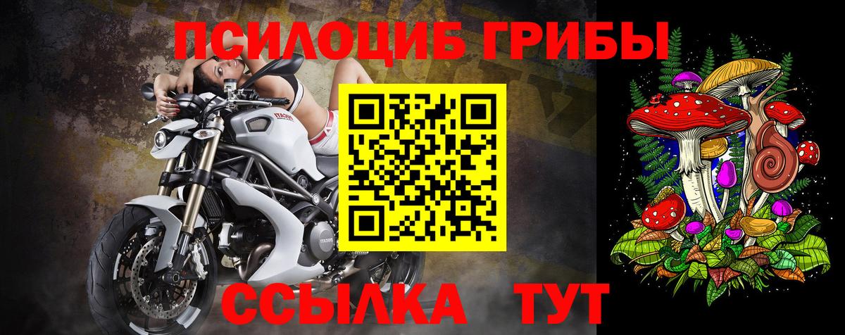 Губкин  Галлюциногенные грибы мицелий  Вход с VPN 